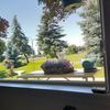 simingtonlea83